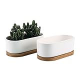 Uso interior - Ideal para la decoración de la ventana y de la mesa de la oficina; Regalo perfecto para la boda, el cumpleaños, la Navidad, etc.