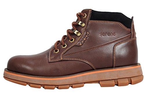 « Click to Enlarge and to go to Amazon »