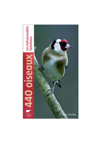 couverture de : 440 oiseaux