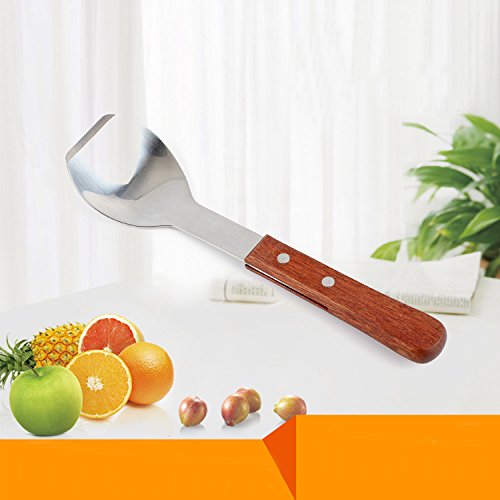 Eisschaufel, Isenretail Eisportionierer, Edelstahl Eiscreme, Holz Griff, 24CM - 6