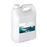 Tratamiento antialgas para el mantenimiento del agua de la piscina