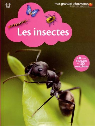 couverture de : Les insectes