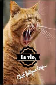 Amazon Fr La Vie Chat Fatigue Trop Carnet De Notes Chat Roux Humour 6x9 Pouces A5 100 Pages Carnet De Notes Avec Lignes Notebook Journal Amazon Fr La Vie Chat Fatigue Trop Carnet De Notes Chat Roux Humour 6x9 Pouces A5 100 Pages Carnet De Notes Avec Lignes Notebook Journal