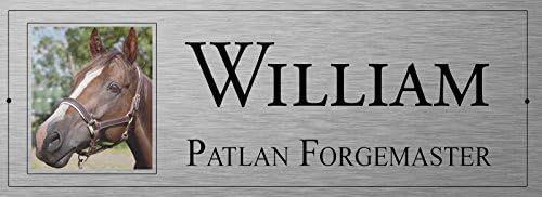 NAME + PHOTO HORSE METAL PLAQUE 11" X4" PERSONALISED STABLE DOOR / TACK ROOM