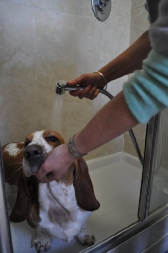 DOG-or-CAT-WASH-SHOWER-HEAD-with-brilliant-water-saving-adjustable-onoff-thumb-lever-operation-for-perfect-control-Fits-all-standard-UK-EU-shower-hoses