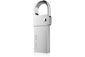 USB Stick 32GB Speicherstick, ELECTRIC GIANT USB Schlüsselanhänger Flash Drive Laufwerk Memory Stick Wasserdichter Aluminium USB 2.0 Mit Karabiner Formaten FAT32, EXFAT und NTFS Geschenk