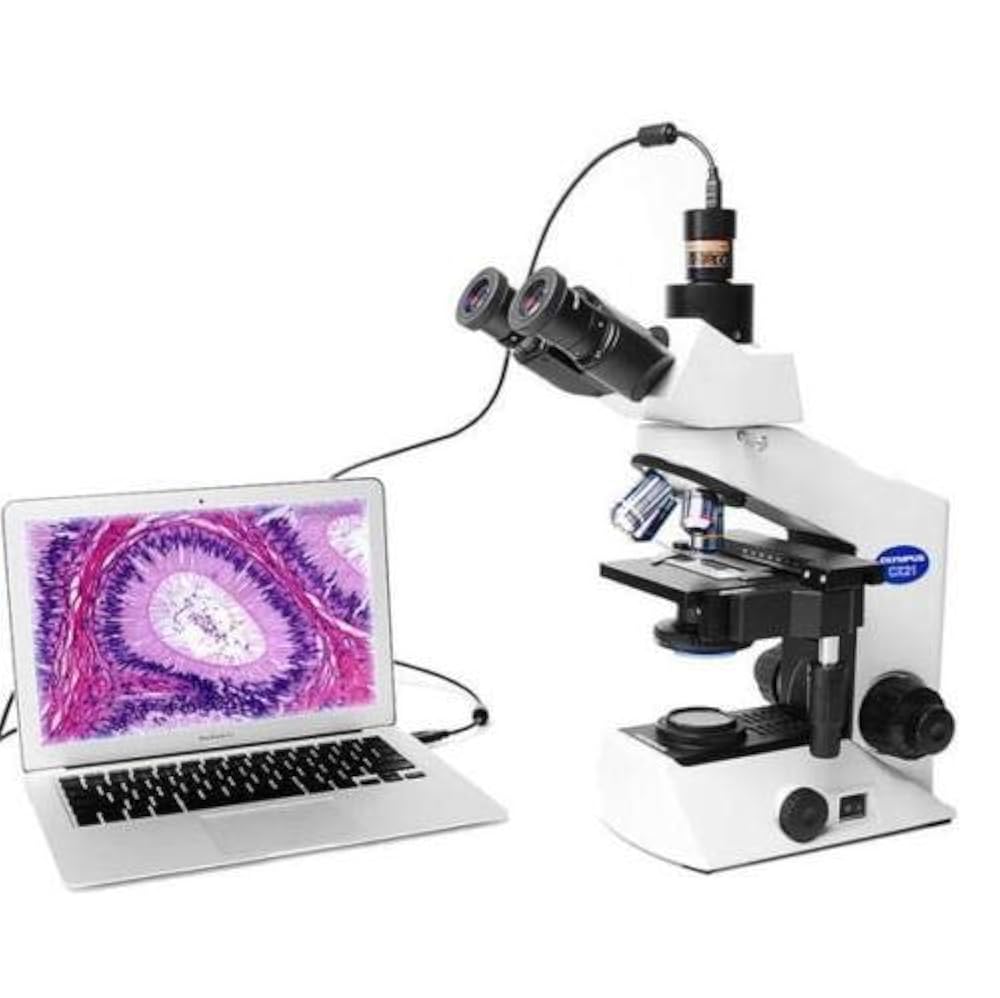 цифровой микроскоп видео. цифровой микроскоп дигитал. микроскоп цифровой диджи. Dem130 digital camera микроскоп. микроскоп mx 300.