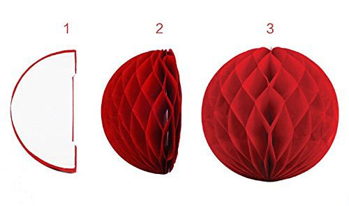 SwirlColor Elegant Honeycomb Flower Ball Pull Paper Flower Balls for Wedding Garden Party Outdoor Decoration 12 Pcs - Hot Pink, White