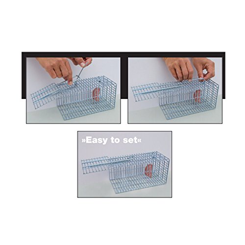proheim Lebendfalle 21cm kompakte Rattenfalle / Drahtfalle mit 1 Eingang, Kleintierfalle aus verzinktem Draht, verlässlich, witterungsbeständig und stabil - 4