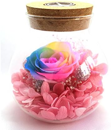 [New Version 2017] Havenfly Handmade Preserved Flowers Rose Decor with Apple-Shaped Glass-Best Gift for Valentine's Day, Mother's Day, Birthday (Blue)