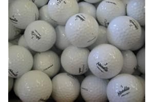 LAKEBALLS 40 Assorted Noodle Grade AAA Lake Golf Balls