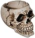 Produktbild com-four® Schaurig gruseliger Aschenbecher in Form eines Totenkopfschädels für Verschiedene Anlässe (01 Stück - Schädel Natur)