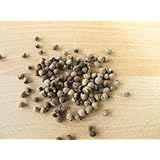 Lexa Mönchspfeffer ganz 1 kg