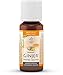 Produktbild INGWER GINJER forte Tropfen 20 ml
