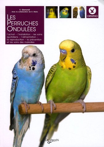 Les  perruches ondulées