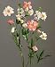 Produktbild DPI Spring Flower Wiesenblumenstrauß lachs Flieder Weiss 59 cm