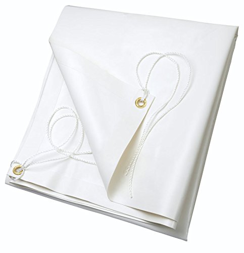 Ribiland PRB65003X05 Telo PVC, 3x5 m, 650 gr,Bianco