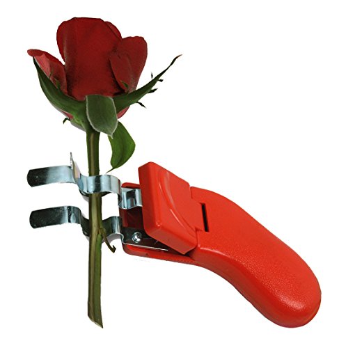 Rosenentdorner Luxus 1 Stück