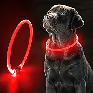 Ezier Dog Collar Light-USB Rechargeable Light Up Dog Collars, LED Dog Collar for Night Safety(red)
