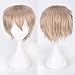 Price comparison product image IMJONO Wig,party summer Mother's Day Easter April Fool's Day 2019 Best Gift for Mom Multi Color Short Straight Hair Wig Anime Party Cosplay Full sell Wigs 35cm