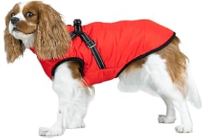 AILISK DoggyKings™ 3 in 1 Jacket