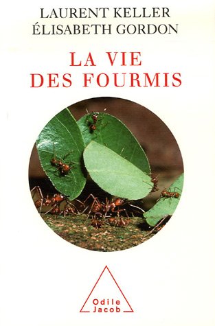 Download La vie des fourmis