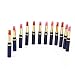 Pauler Vickers 12 Pcs Nude Lipsticks Makeup Lasting Lip Gloss Makeup Set Cosmetic