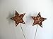 Produktbild Unbekannt 2er Set Stecker/Edelroststecker Puna Sterne mit 2 versch. Motive, Ø 9 cm