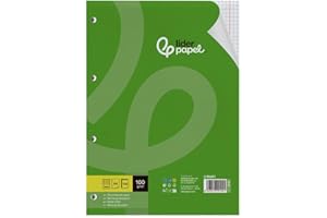 RECAMBIO LIDERPAPEL A4 100 HOJAS 100G/M2 CUADRO 5MM CON MARGEN 4 TALADROS
