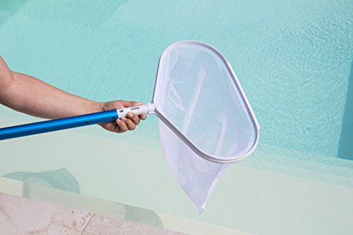 Steinbach 061110PF Poolreinigung Bodenkescher Eco für Teleskopstange, weiß - 6