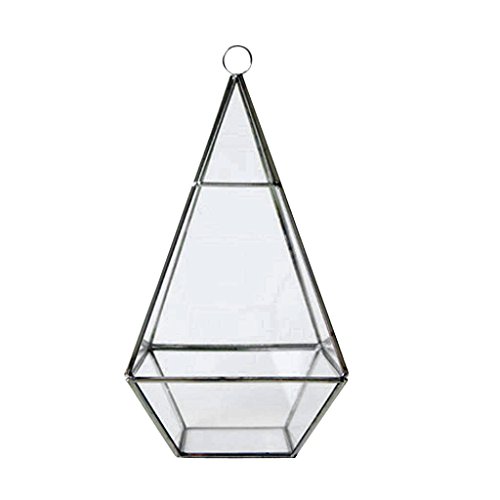 Generic Modern Design Glas Terrarium Geometrisches Sukkulente Pflanzen Deko – Rautenförmig – 12 * 12 * 24,5 cm - 4