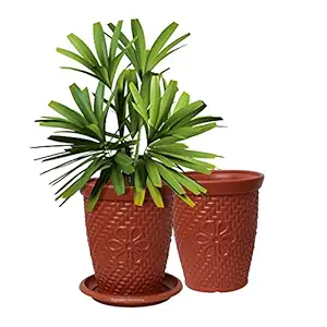 EQUALITY OVERSEAS Heavy Duty Plastic Planter Pots with Bottom Tray Color Terracotta 9.6 Inch (Pack of) (2)