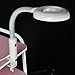 Magnifying Lamp Hug Flight® 2 in 1 Stand Desktop LED Flexible Light 5 x magnification Salon Tattoo Nail Skin Lens Light Beauty Salon Spa 360 Degree Band