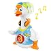 Toyshine Interactive Swing Goose Toy, Battery Operated, Non-toxic RS.899.00