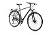 Produktbild tretwerk DIREKT gute Räder Challenger 2.0 28 Zoll Trekkingbike, Herren-Fahrrad 30 Gang Kettenschaltung, L