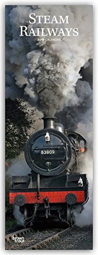 Preisvergleich Produktbild Steam Railways - Dampflokomotiven 2019 (Slimline-Kalender)