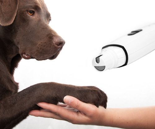 Preisvergleich Produktbild PRECORN Krallenschleifer Ersatz Schleifstein Ersatzschleifkopf für Krallenschleifmaschine