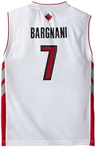 toronto raptors home jersey