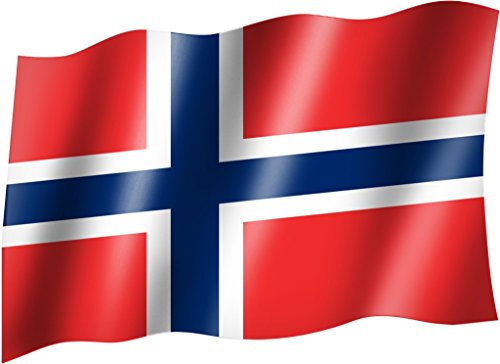 Sportfanshop24 Bandera/bandera Noruega Estado/País Bandera/bandera con ojales (150 x 90 cm, muy buena calidad