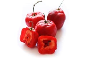 SVI Rojo Aji Rocoto Locoto Capsicum pubescens Hot Chili Pepper Seeds 10 PCS RARO!