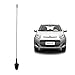 Autofy Premium Quality AM/FM Car Antenna for Fiat Palio (Black) RS.179.00