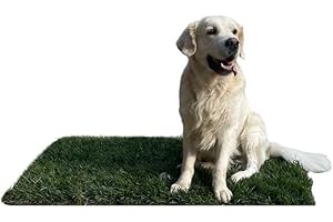 PRATOERBOSO GreenZolla - L' Originale Lettiera per Cani in Erba Vera Naturale, Traversina 100% Naturale, Cuccia per Gatti in Vero Prato, Zona Gioco e relax per Animali Misura Maxi