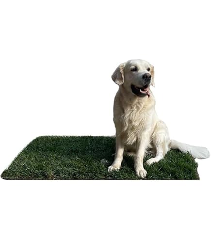 PetTray Vassoio S 60x40 Cm Porta Traversine Per Cani In Vera Erba PetZolla – Ideale Per Addestramento Cuccioli, Made In Italy