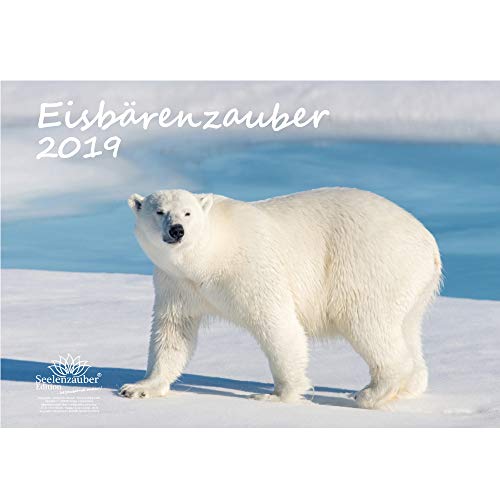 Download Eisbär magique – Format A3 – Haute Calendrier 2019 – Ours polaires – Polar – Naturel – Animal – désert – Coffret cadeau avec 1 carte de vœux et 1 carte de Noël – Édition âme magique