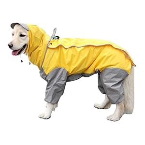 VICTORIE Mascota Perro Impermeables Chubasqueros con Capucha para pequeño Medianas y Grandes Perros Andar excursión Acampada deambular Amarillo M