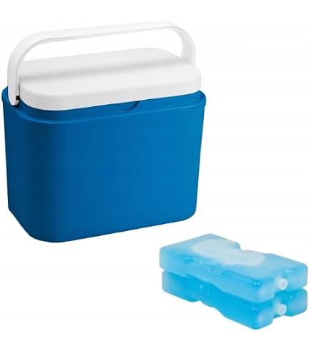 Glacière SP Berner Campos 24 L - Rose - Plastique Robuste - Fermeture Hermétique - Pique-nique
