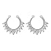 Sasairy 2 Pieces Nose Ring Hoop Stainless Cartilage Non Piercing Gold Clicker Gem Piercing Body Jewelry, Sliver