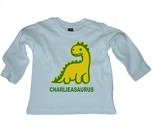 Personalised Dinosaur baby boys long sleeved t-shirt- Your name asaurus