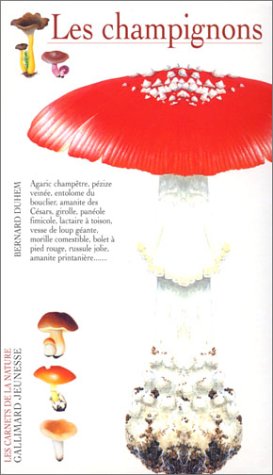 couverture de : Champignons (les)