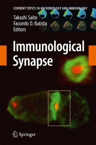 Immunological Synapse: 340 (Current Topics in Microbiology and Immunology) (2009-12-15) francais